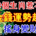 3個生肖惹不起，金錢運勢超好，搖身變財主！