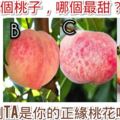 心理測試：4個桃子，哪個最甜？測TA是你的正緣桃花嗎？