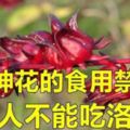 洛神花的食用禁忌，這些人千萬不能吃洛神花