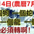 8月14日(農曆7月初4)要格外留心了，一個狗，一個蛇，一個龍，一個馬！大吉大利！