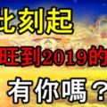 從此刻起，一路旺到2019的生肖！有你嗎？