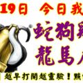 10月19日，今日我最旺！蛇狗雞羊龍馬虎鼠！【33888】越早打開越靈驗！點個讚吧！