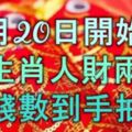 10月20日開始，5大生肖好事連連，人財兩旺，數錢數到手抽筋！