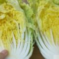 大白菜的營養價值的食療作用，做辣白菜的時候，加入2種「水果」，更好吃還有果香味