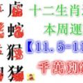 十二生肖運勢：本周運勢【11.5-11.11】千萬別錯失！