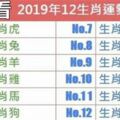 2019年十二生肖運勢排行榜。