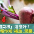 原來「甜菜根」這麼好！6大好處報你知：補血、潤腸、控血壓