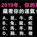 測試：心誠則靈，測12生肖2019年整體大運