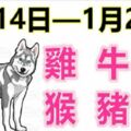 12生肖一周運勢（1月14日—1月20日）