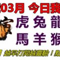 12號03月，今日我最旺！虎兔龍蛇馬羊猴雞！【33288】越早打開越靈驗！點個讚吧！