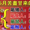 5月苦盡甘來的4生肖，運勢佳，財運旺，橫財發，無債一身輕，你是哪個？