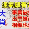 4生肖8月運氣顯著好轉，事業被提拔，出門撿到錢，相親也遇愛