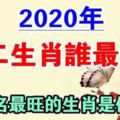 2020年十二生肖誰最旺？鼠年機遇不斷、功成名就的生肖是你嗎？