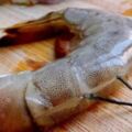 吃蝦到底吃不吃蝦頭，蝦黃是排洩物嗎？關於蝦頭，一次性說清楚