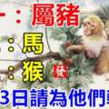 屬豬，馬，猴的人，5月13日請為他們轉走