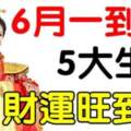 6月一到，財運旺到爆的生肖