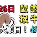 6月26日生肖運勢_鼠、蛇、龍大吉