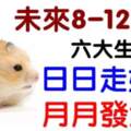 未來8-12月內日日走好運，月月發大財的生肖