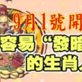 9月1號開始容易（發暗財）的生肖人