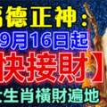 9月16日起快接財，橫財遍地的生肖