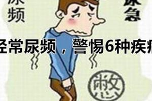 經常尿頻，警惕6種疾病