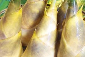 竹筍有什麼營養價值？什麼樣的人千萬不能吃竹筍？
