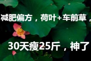 減肥偏方，荷葉+車前草，30天瘦25斤，神了