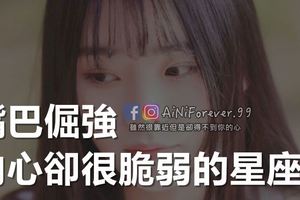 嘴巴倔強，內心卻很脆弱的星座