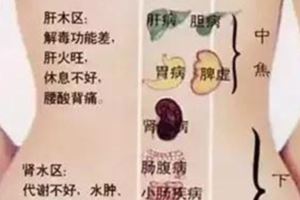 保養後背=保命，比養臉更重要！