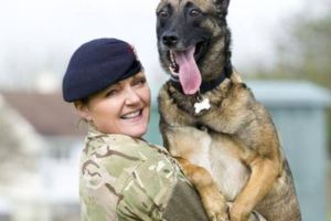 這隻狗狗救了女軍官一命，卻要被安樂死，女軍官帶它回家養它終老