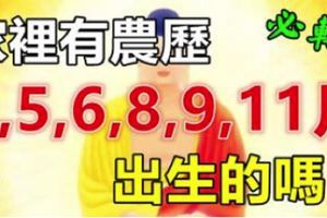 家裡有農歷「3,5,6,8,9,11」月出生的嗎？他們大富大貴直到99歲！&生在這8天的女人，不管屬啥生肖，都是數錢的富婆命！