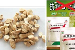 板藍根具有清熱、解毒、消腫、利咽等功效；.板藍根還具有抗菌以及抗病毒、增強免疫力等功效；