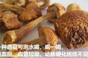 一種蘑菇可泡水喝，喝一喝，高血脂、血管垃圾、動脈硬化統統不見
