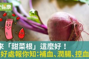 原來「甜菜根」這麼好！6大好處報你知：補血、潤腸、控血壓