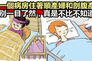 同一個病房住著順產婦和剖腹產婦，差別一目了然，真是不比不知道