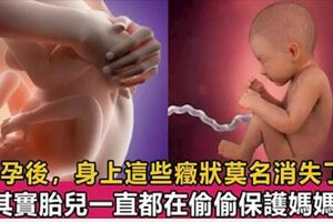 從懷孕開始，胎兒就在偷偷地保護著媽媽，看完暖哭了