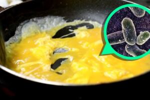 吃未煮熟雞蛋料理47人中毒感染細菌，徹底煮熟與加熱能有效消滅食物中的沙門氏菌