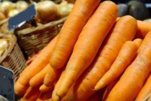 對抗疫情，吃胡蘿蔔就能增強機體免疫力？錯，最重要的是營養均衡