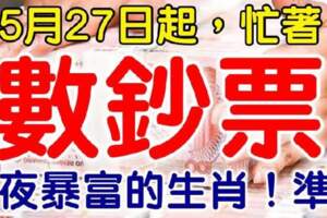 5月27日起財富大增，忙著數鈔票的生肖