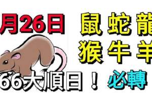 6月26日生肖運勢_鼠、蛇、龍大吉