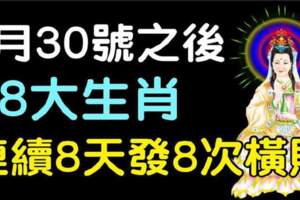 6月30號之後，連續8天發8次橫財的生肖