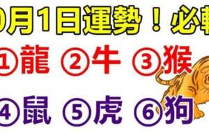 10月1日運勢_龍、牛、猴、鼠、虎、狗大吉