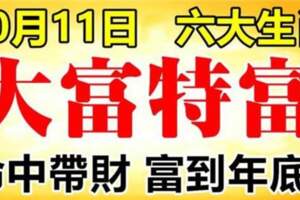 10月11日大富特富，命中帶財，富到年底的生肖