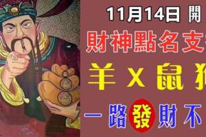 11月14號開始財神點名支持（羊X鼠狗）財富一路飆漲