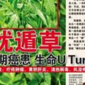 癌症為什麼要用優頓草？優頓草有什麼長處？優頓草真的很好嗎？我說優頓草是真的很好，沒病痛吃也可幫加強調理身體的系胞。你說呢？