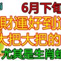 6月下旬，財運好到逆天，錢大把大把的賺的生肖
