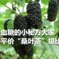 一個降血糖的小秘方大家可以試試哦！平價「桑葉茶」堪比人參？