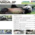 為了給這個剛出生的小熊貓起個名，日本人操碎了心！已經準備了32萬個…