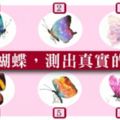 99％精準！【日本心理測驗】憑直覺挑選一隻蝴蝶！測出真實的你！