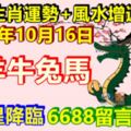 2017年10月16日，十二生肖運勢+風水增運指南。龍鼠牛兔馬羊，貴人星降臨，6688留言必轉！